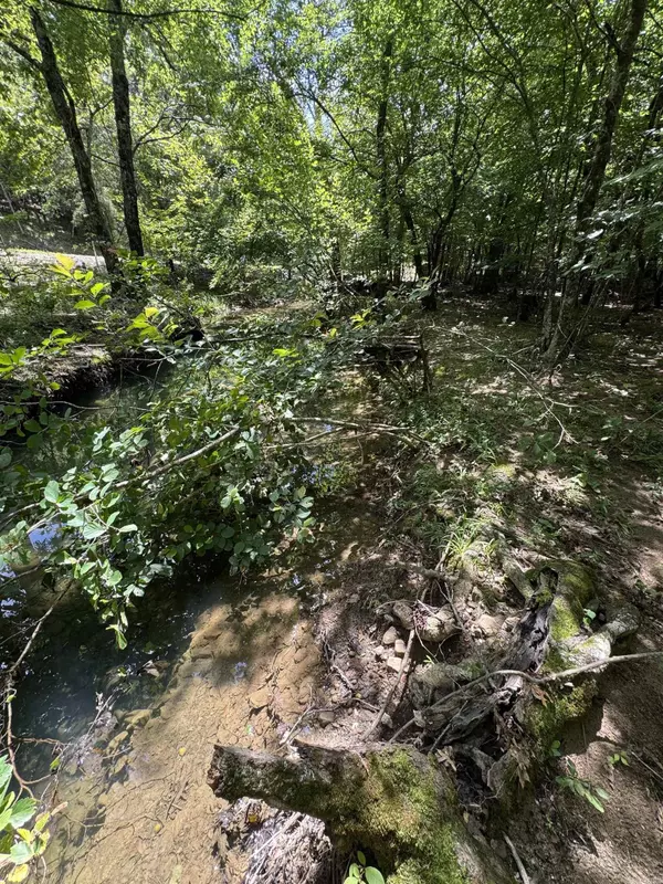 Mount Ida, AR 72957,21 Moon Dance Road