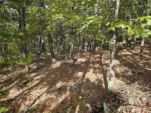 Hot Springs Village, AR 71909,22 Villacarriedo Drive