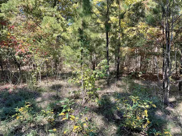 Choctaw, AR 72031,301-501 Meade Road