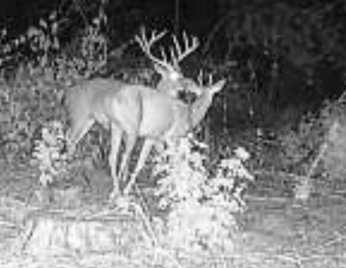 Lonoke, AR 72086,Address not disclosed