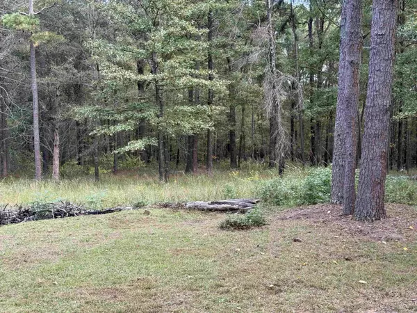 Cabot, AR 72023,115 Staggs Lane