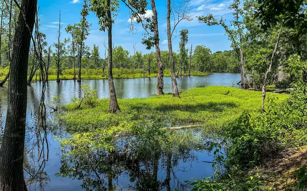 Maumelle, AR 72113,303 Devoe Bend Drive