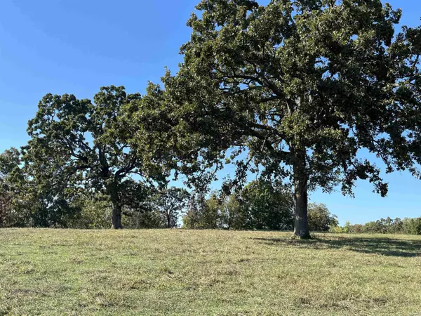 000 County Road 113, Alton, MO 65606