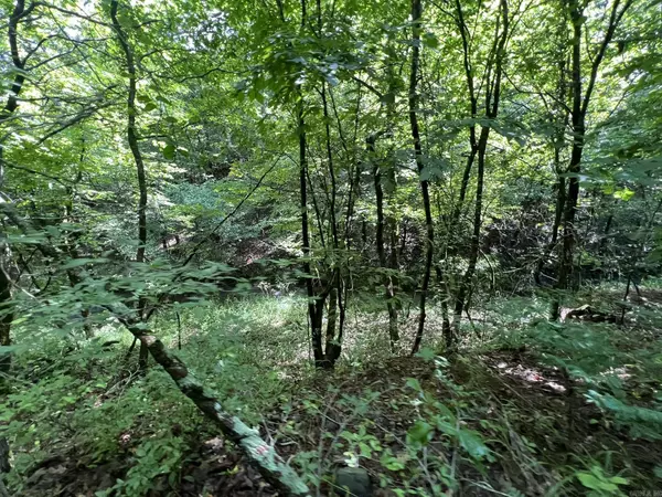 Mena, AR 71953,Unk FS Road 521