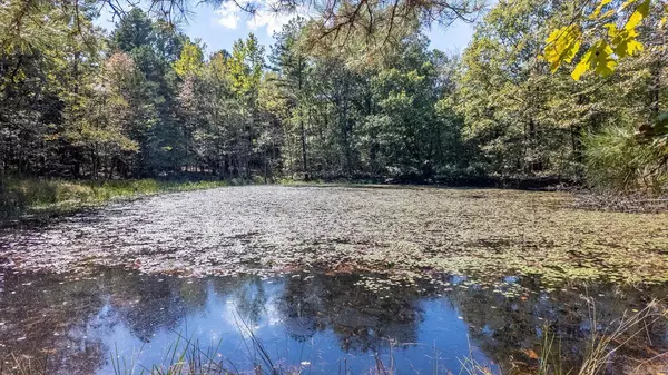 TBD Forrest Drive, Houston, MO 65483