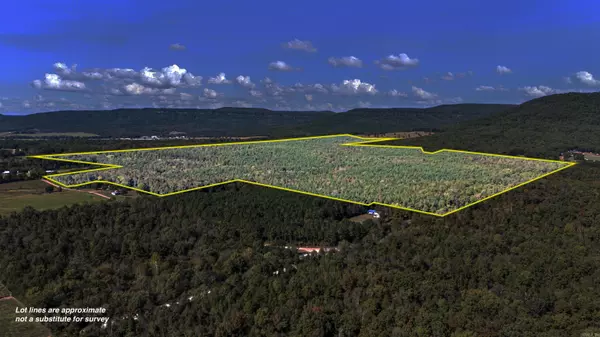 000 County Rd 4200, Clarksville, AR 72830