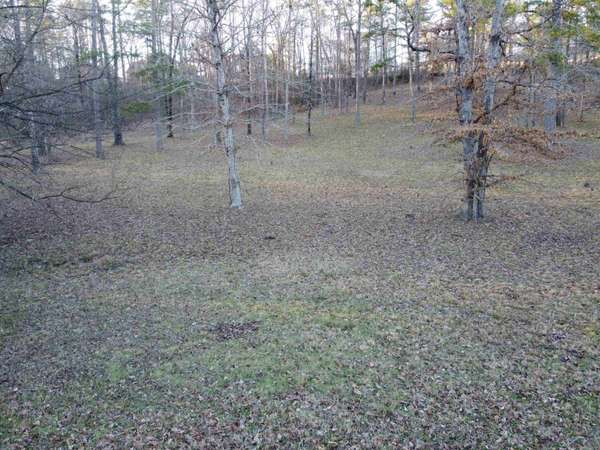 Hot Springs, AR 71913,Address not disclosed