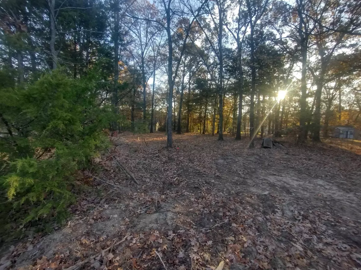 Mountain View, AR 72560,0 Westwood AVE