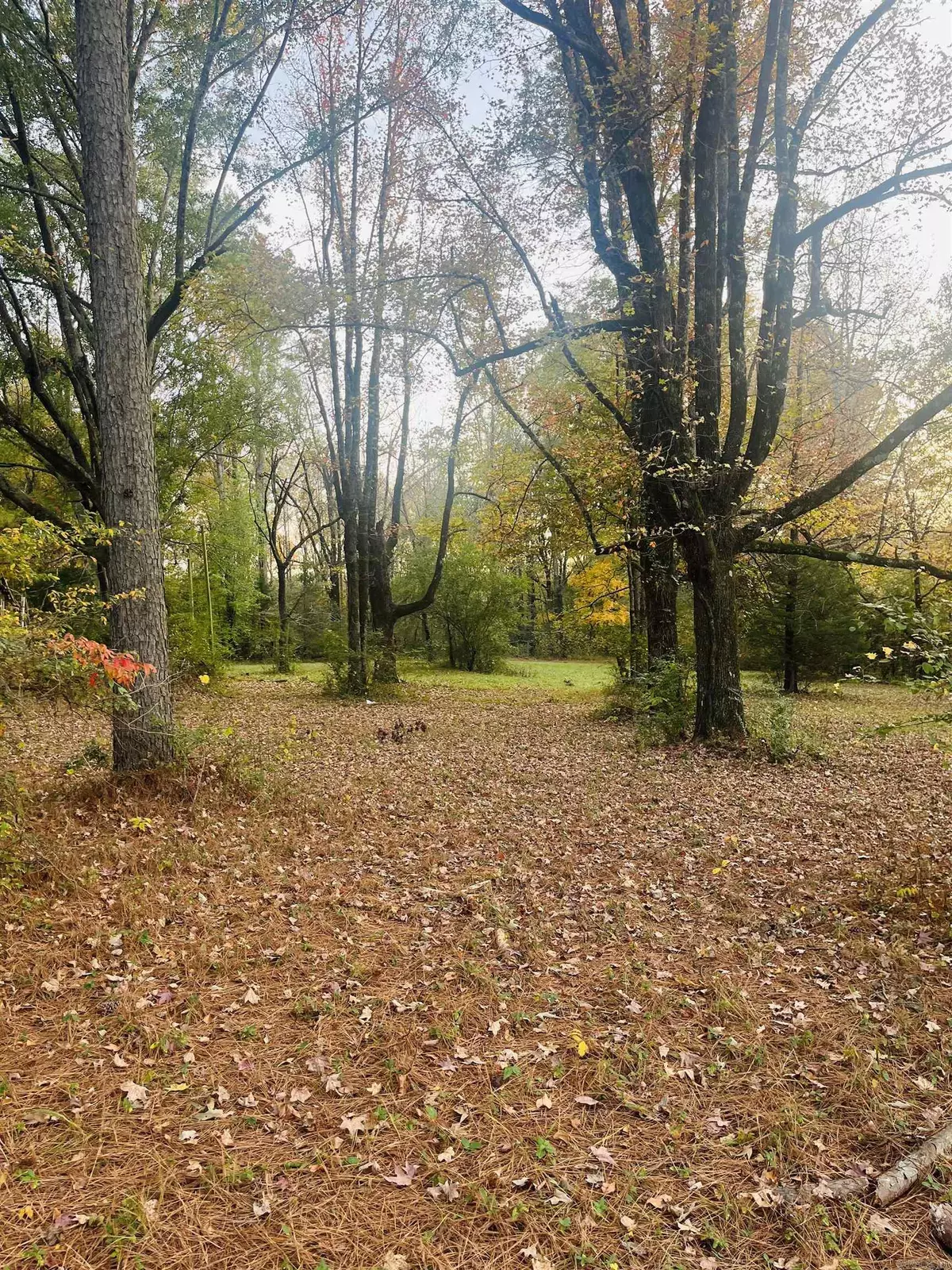 Monticello, AR 71655,Address not disclosed