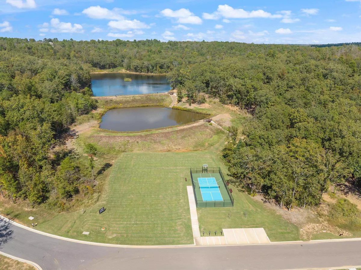 Maumelle, AR 72113,15216 Matterhorn Loop Lane