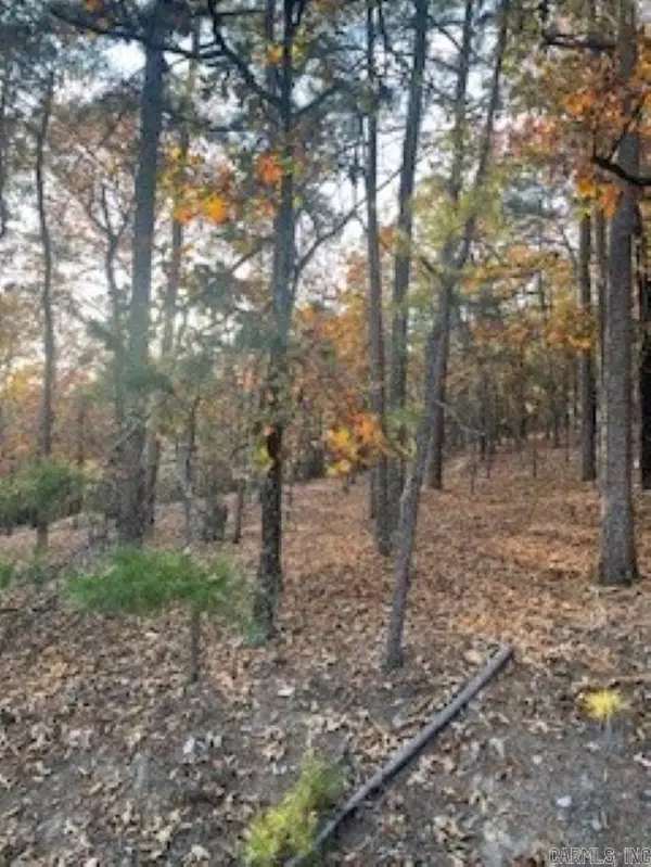 Hot Springs, AR 71968,0 Rustic Hills Trail