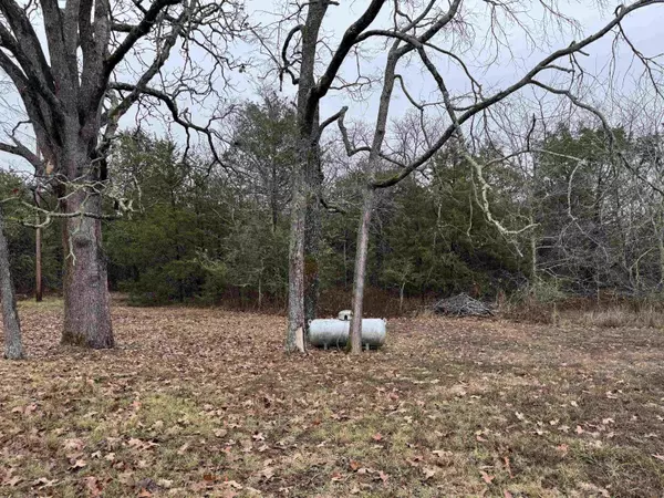 Horseshoe Bend, AR 72512,410 N Cheyenne Drive