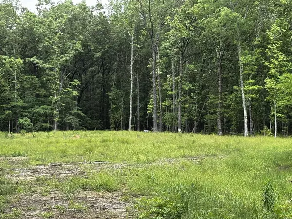 00 Gold Hill Road, Atkins, AR 72823