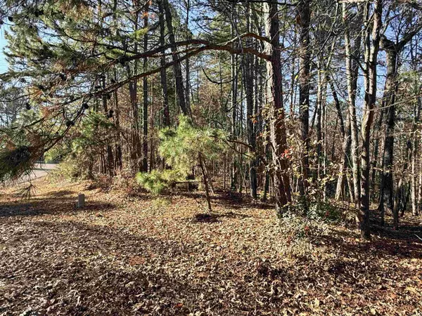 Hot Springs Village, AR 71909,00 Divino Place