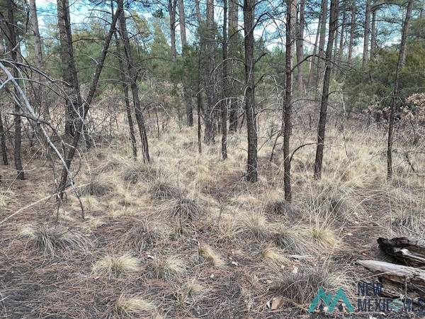 79 Riverside Drive #51 Riverside, Timberon, NM 88350