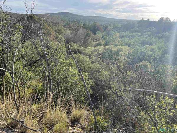 24 La Costa Dr Drive #Lot 27 La Costa Dr, Timberon, NM 88350
