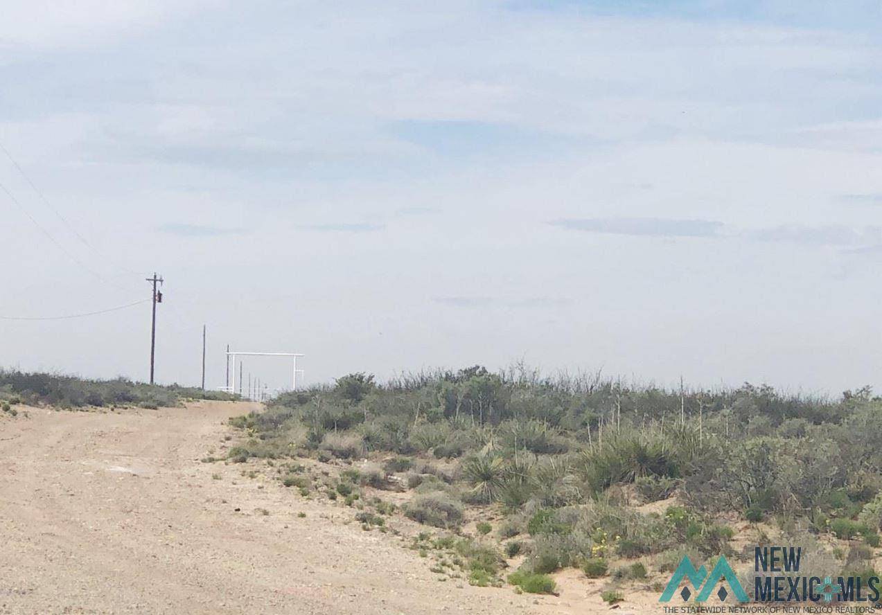 0000 Buffalo Valley Road, Lake Arthur, NM 88253