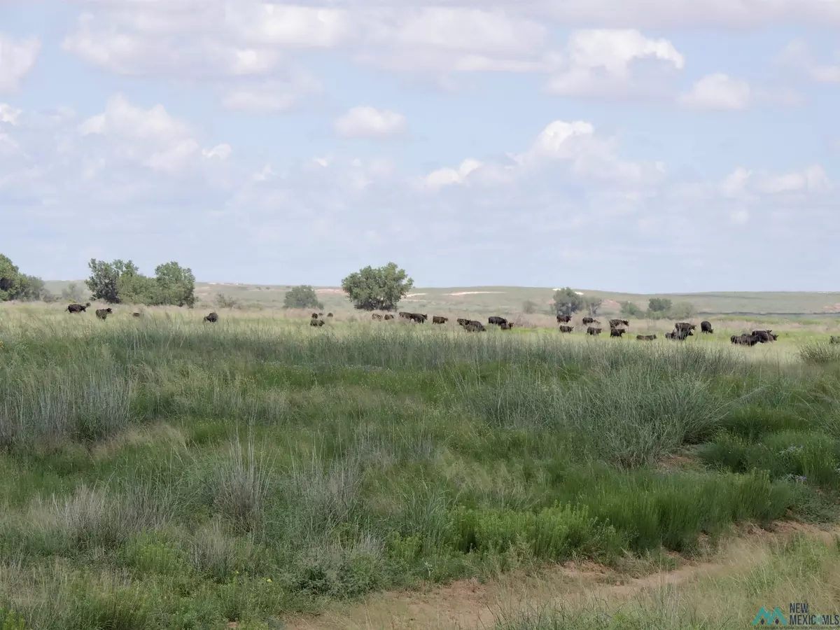 Fort Sumner, NM 88119,468 Black Spring Road