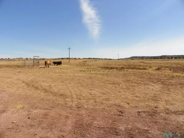 Santa Rosa, NM 88435,1070 Bar Y Road