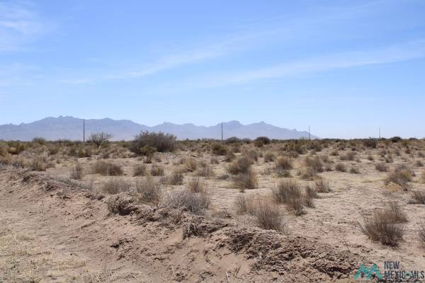 Challa Rd SW #Deming Ranchettes Unit 44 Bk 16 Tracts 11-12, Deming, NM 88030
