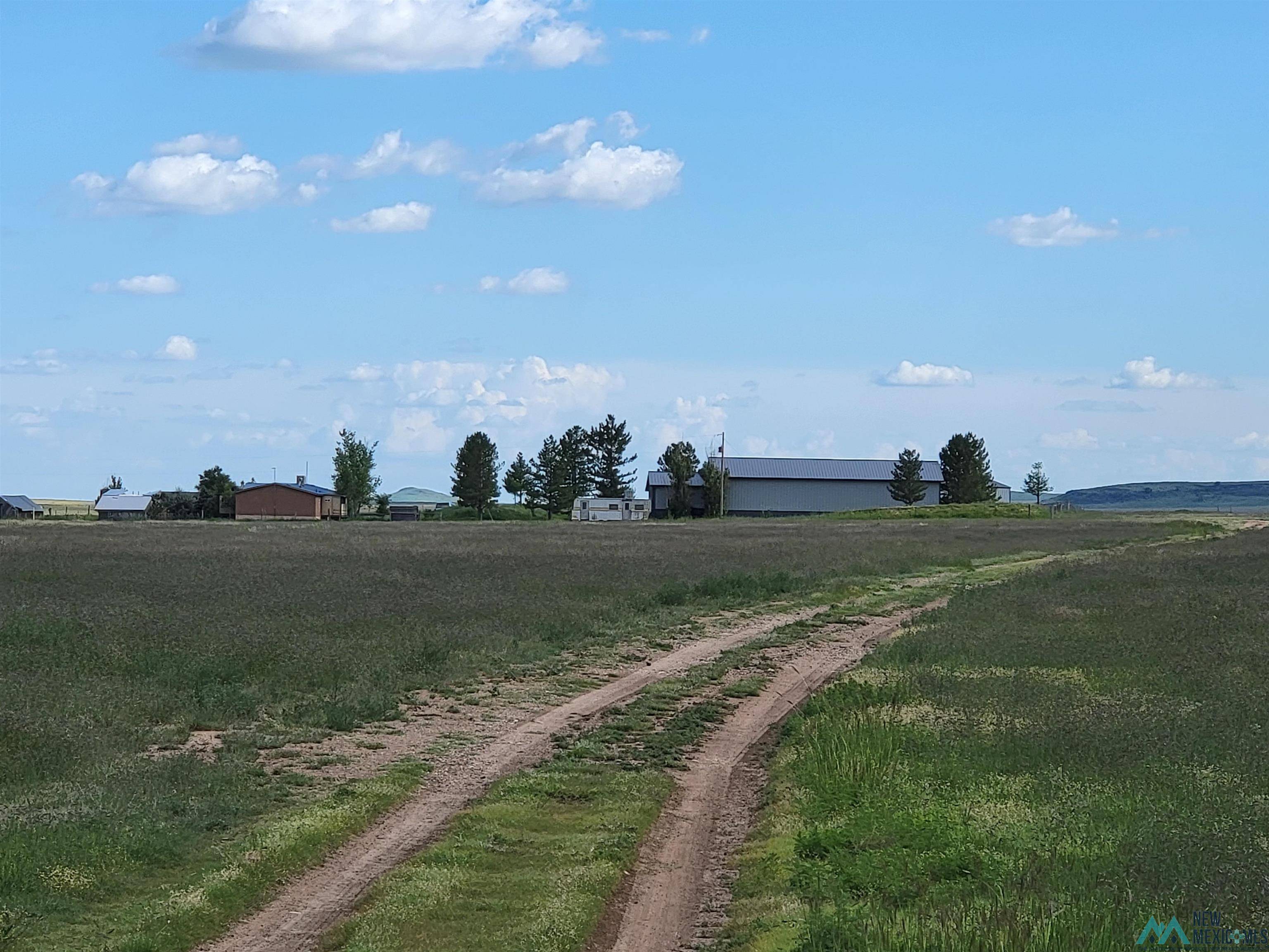 4386 Springer Highway, Grenville, NM 88424