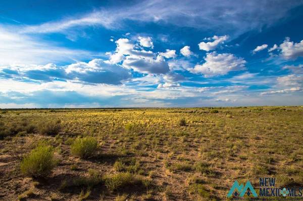 Lot 3 Jones Ranch Road, Vanderwagen, NM 87326