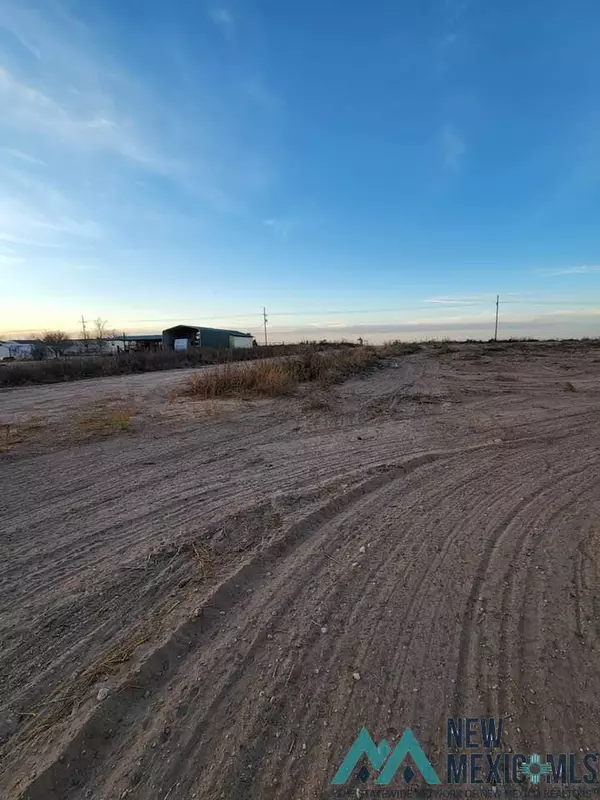 Loving, NM 88256,157 E London Road