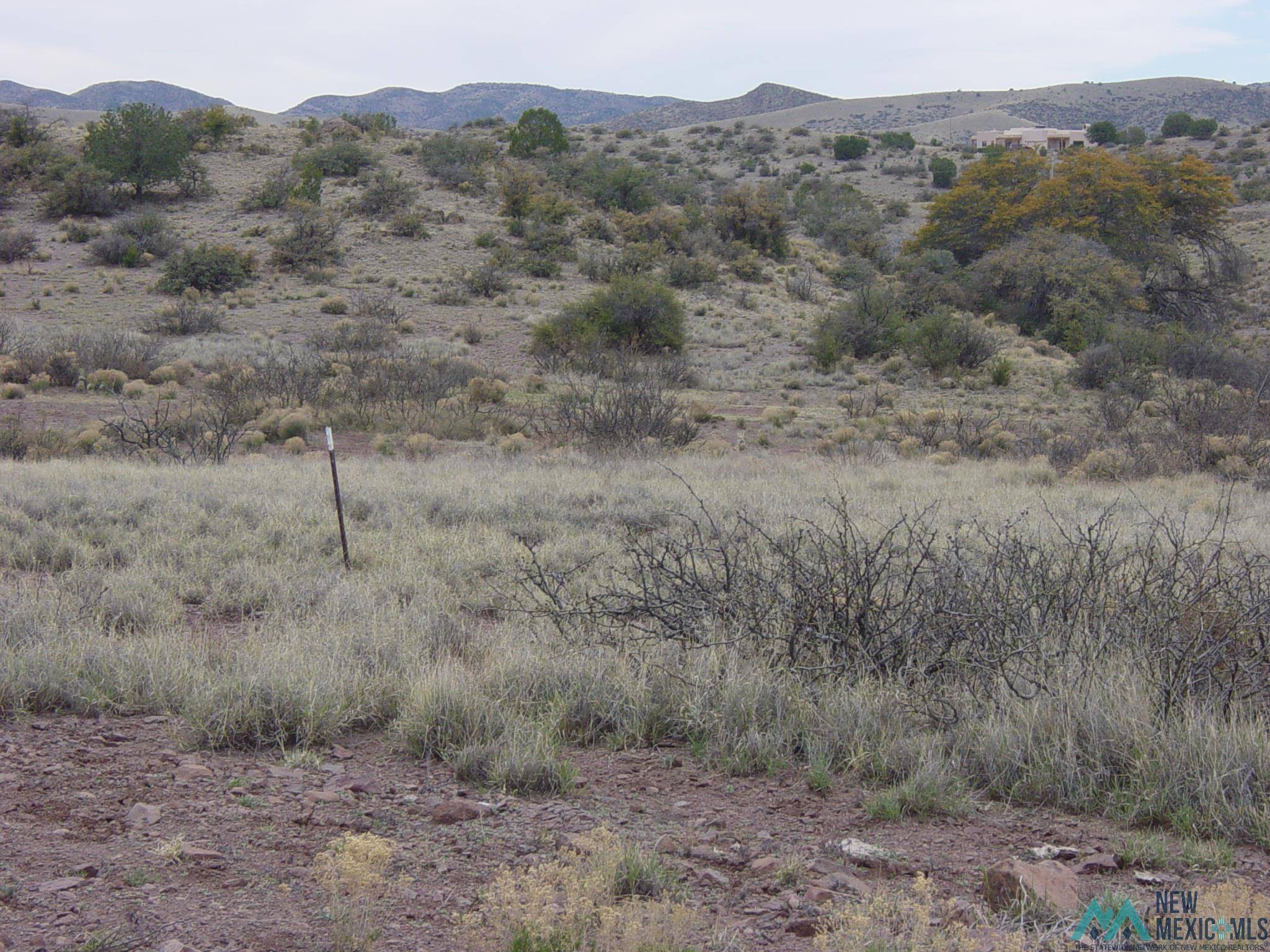 #4 Berrenda Ranch Road #General Crook, Hillsboro, NM 88042