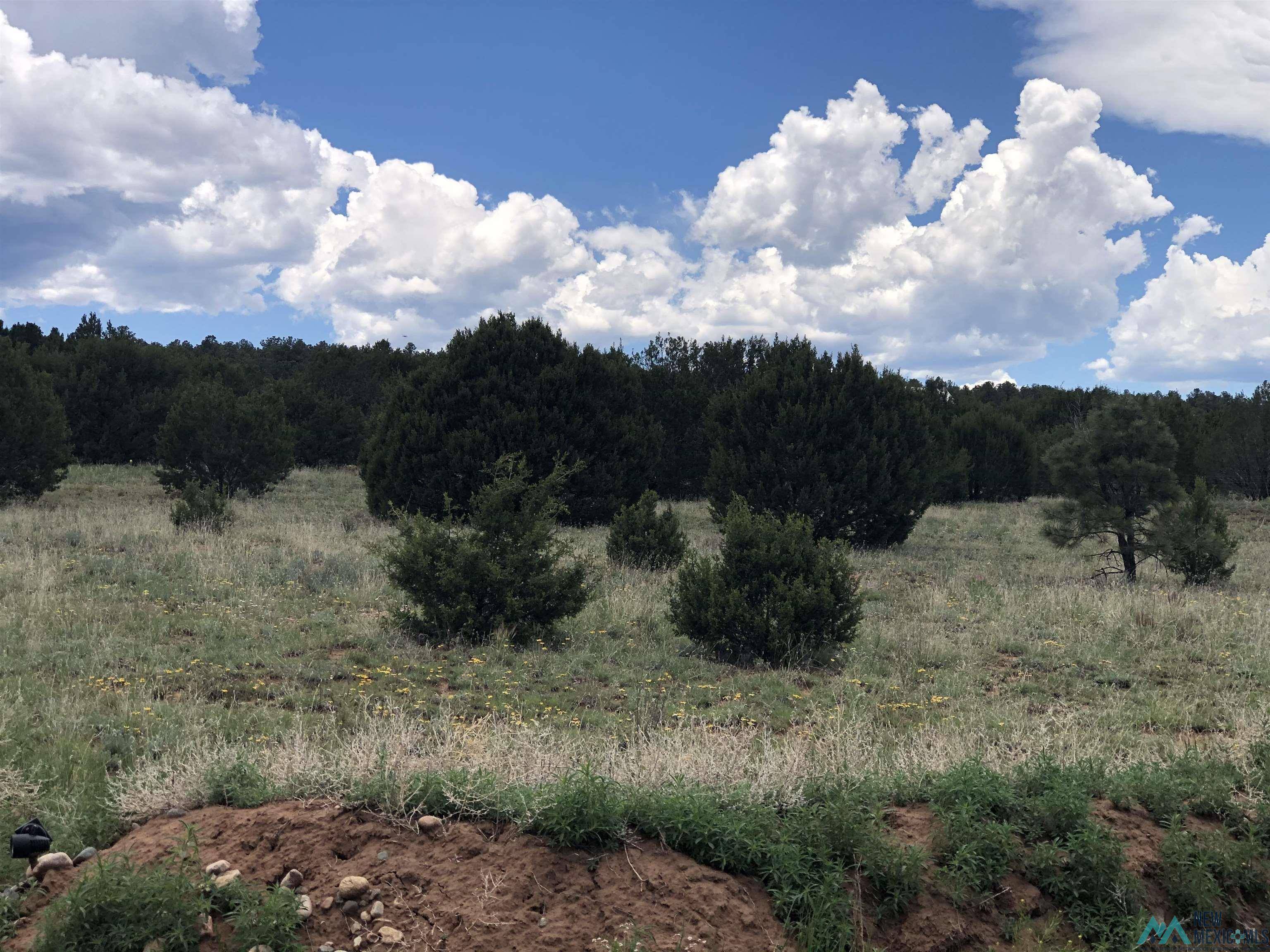 Lot 5-A Mirasol Road, Romeroville, NM 87701