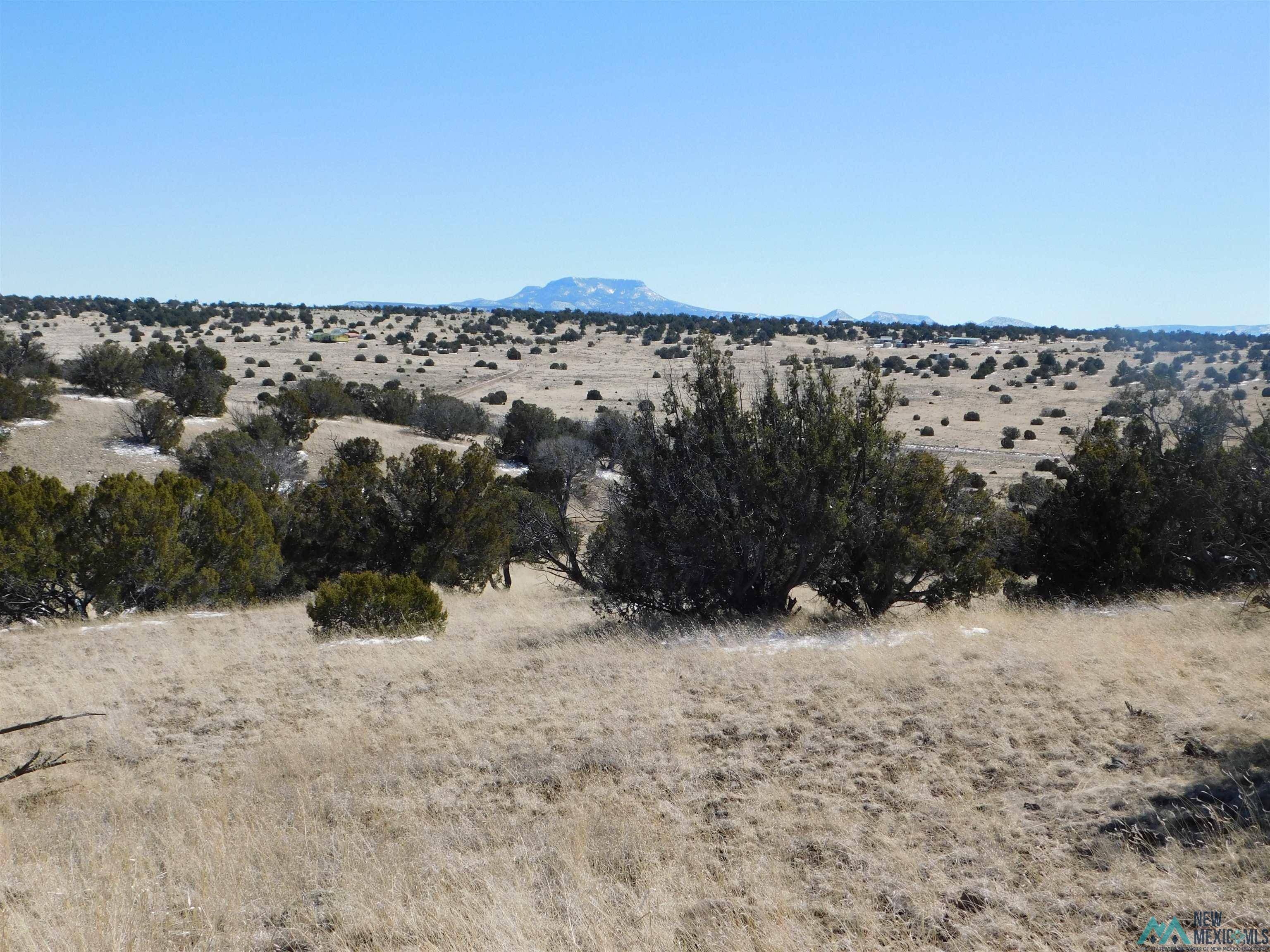 69 Bronco Blvd #LOT 69 BRONCO BLVD, Quemado, NM 87829