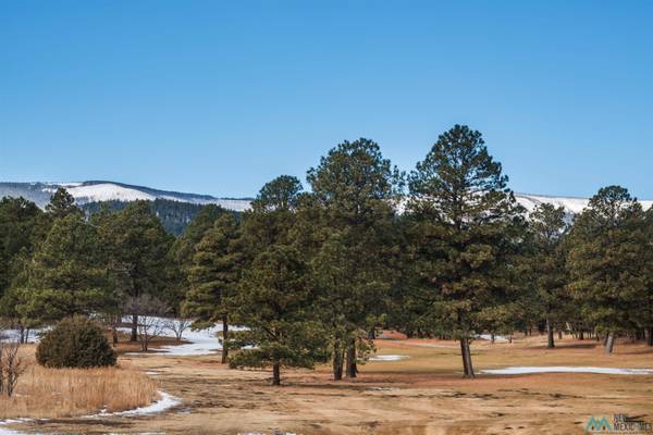 Lot 20 Avenida de Securidad Avenue, Rociada, NM 87742