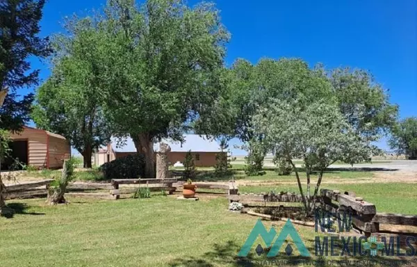Grenville, NM 88424,4612 Springer Hwy Highway