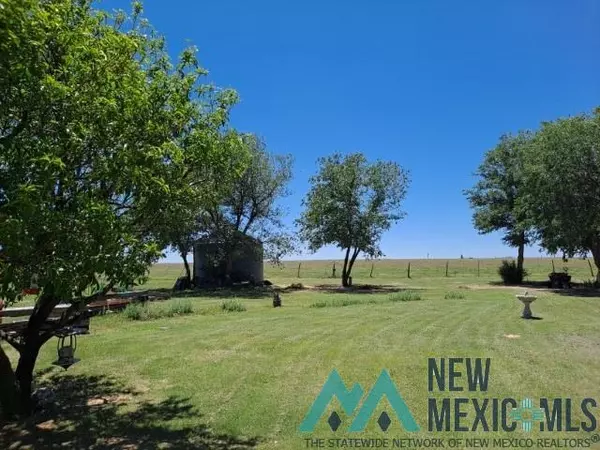Grenville, NM 88424,4612 Springer Hwy Highway