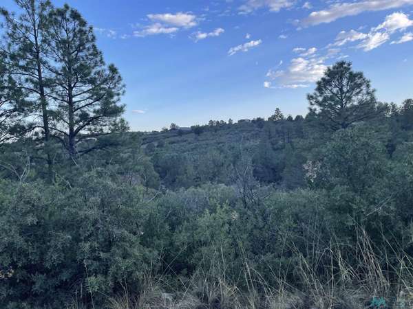 Lot 2 Movac Loop, Timberon, NM 88350