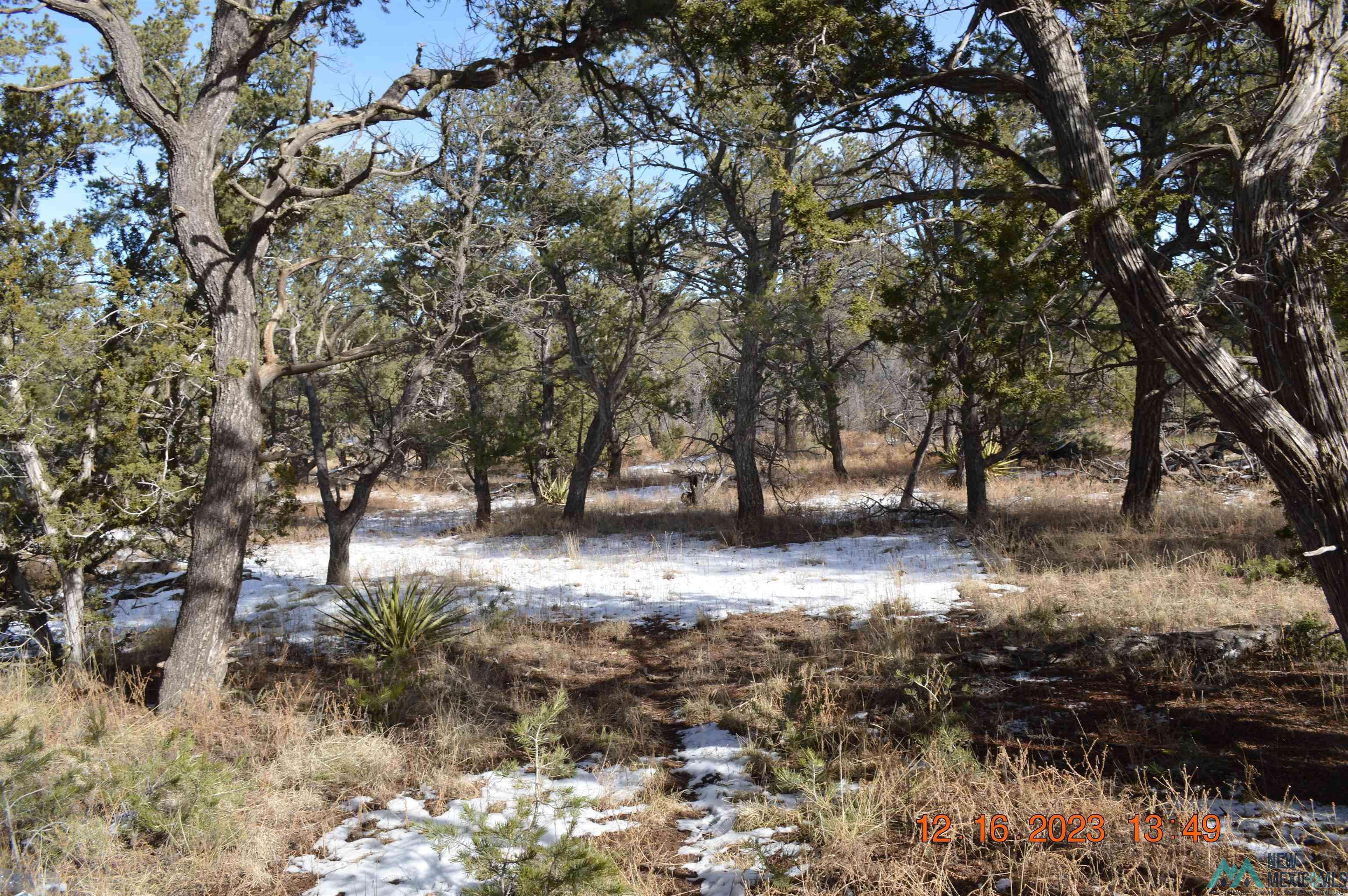 TBD PEACEFUL Drive, Ramah, NM 87321
