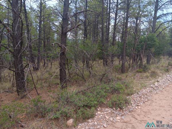 Lot 7 Homewood Drive, Timberon, NM 88350