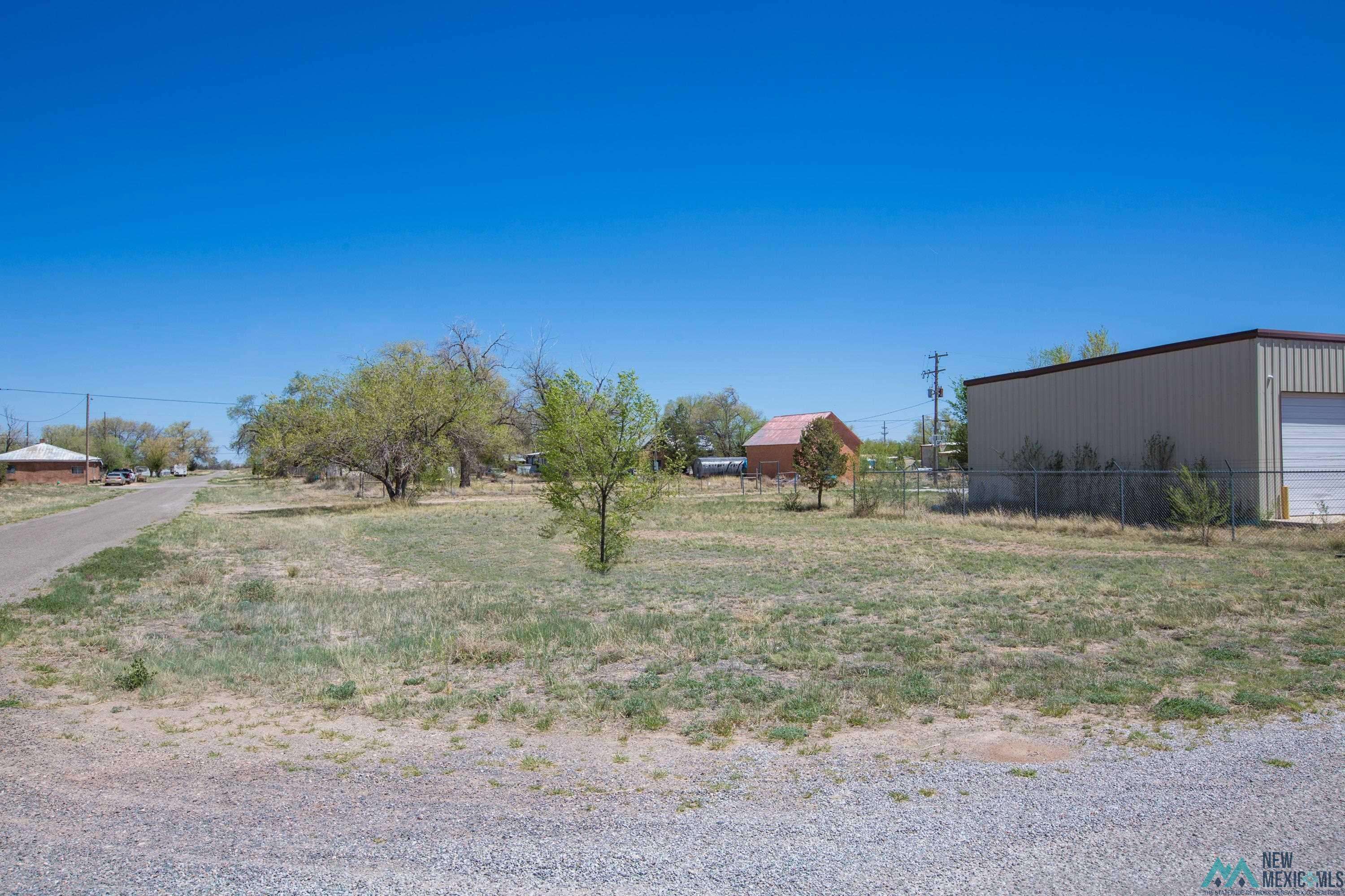 Lot: 1-2 Block 14, Willard, NM 87063