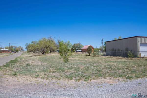 Lot: 1-2 Block 14, Willard, NM 87063