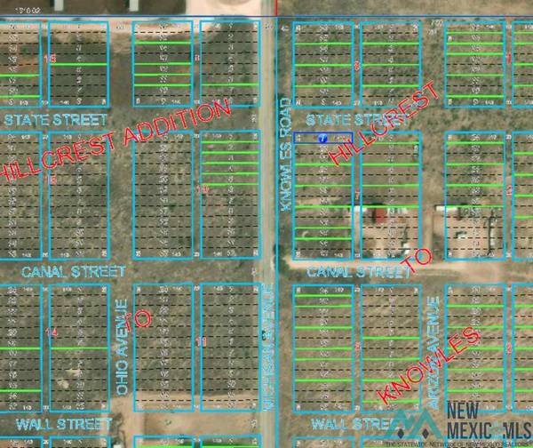 TBD LOT 24 KNOWLES Road, Lovington, NM 88260