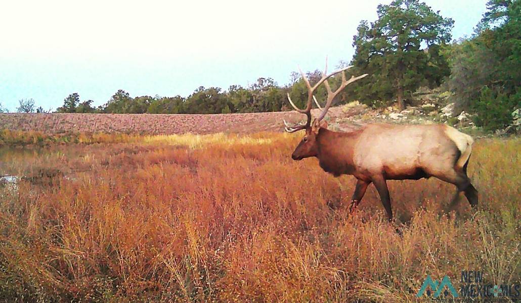 TBD Highway 612, Thoreau, CO 87323