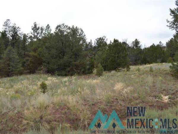 157 FOREST Road, Ramah, NM 87321