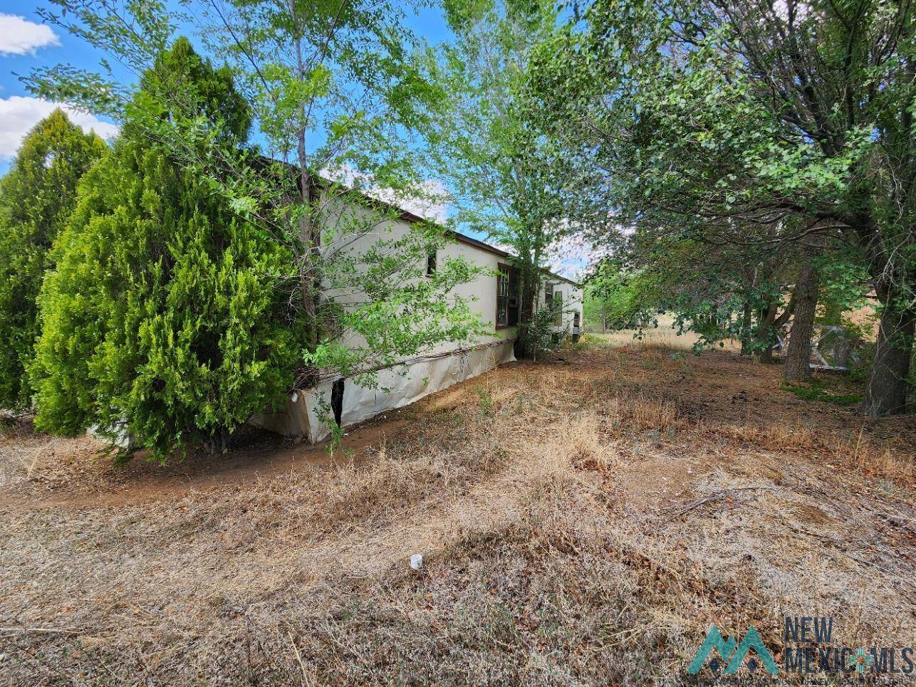 Grants, NM 87020,231 David Street