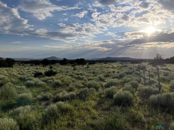 000 TBA Road #A Lazy A, Quemado, NM 87829