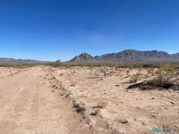 XXXX San Joaquin Rd SE #XXXX San Pedro Rd SE, Deming, NM 88030