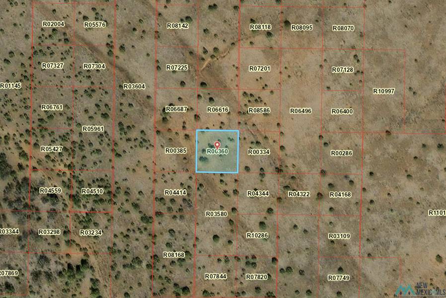 Lot 315 El Morro Estate, El Morro, NM 87321