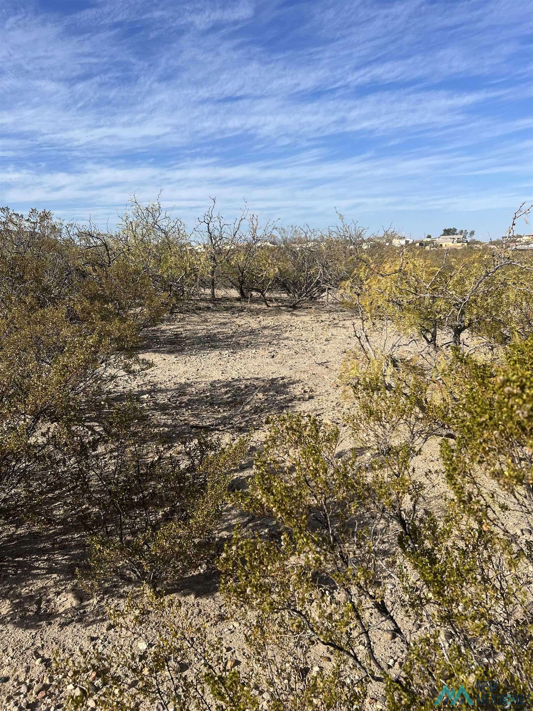 207 Olympic Street, Elephant Butte, NM 87935