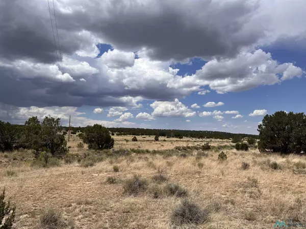 Pie Town, NM 87827,Lot 3 A&B PONDEROSA Street