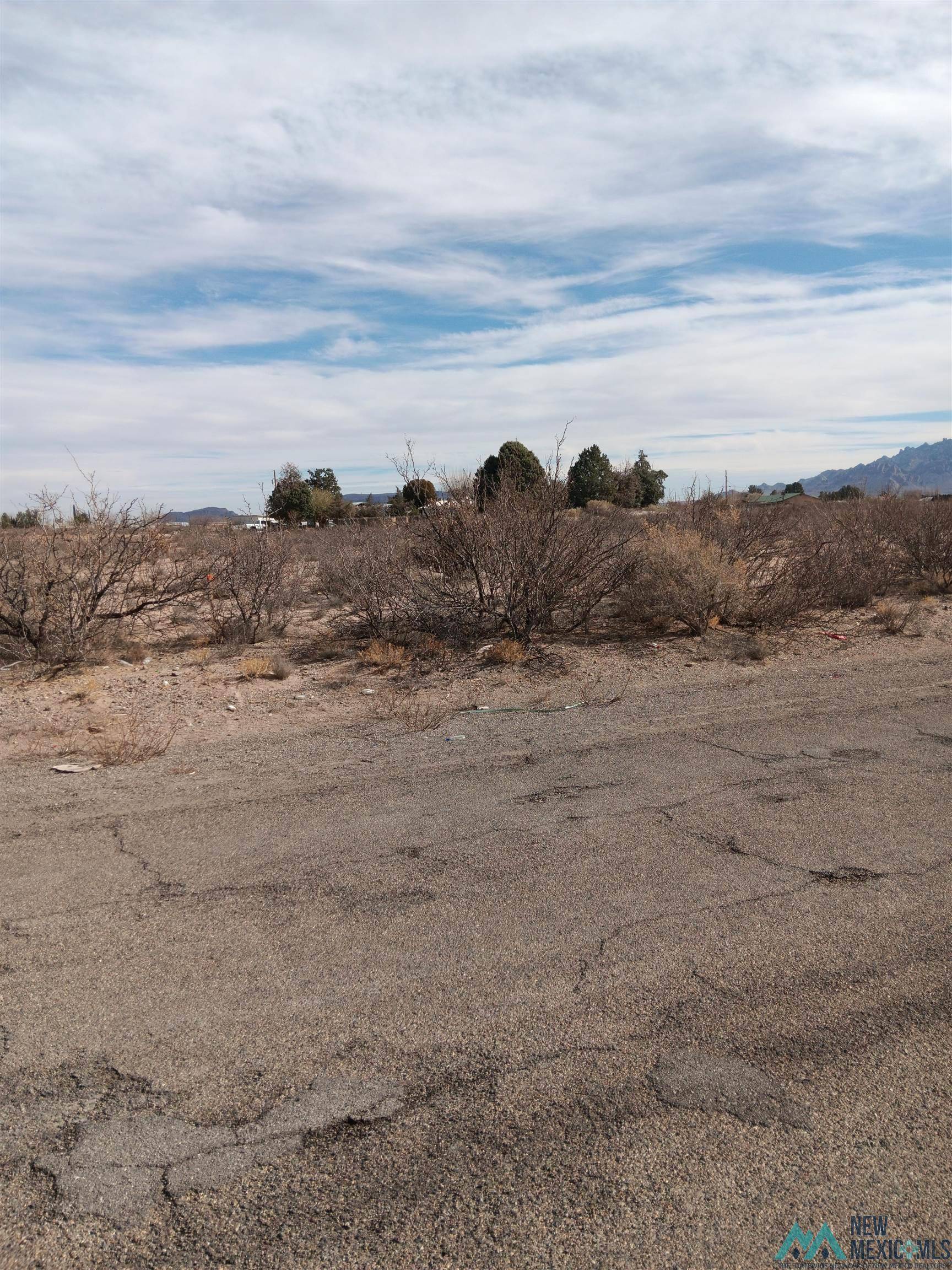 000 S Saddler Street #tract 3, Deming, NM 88030