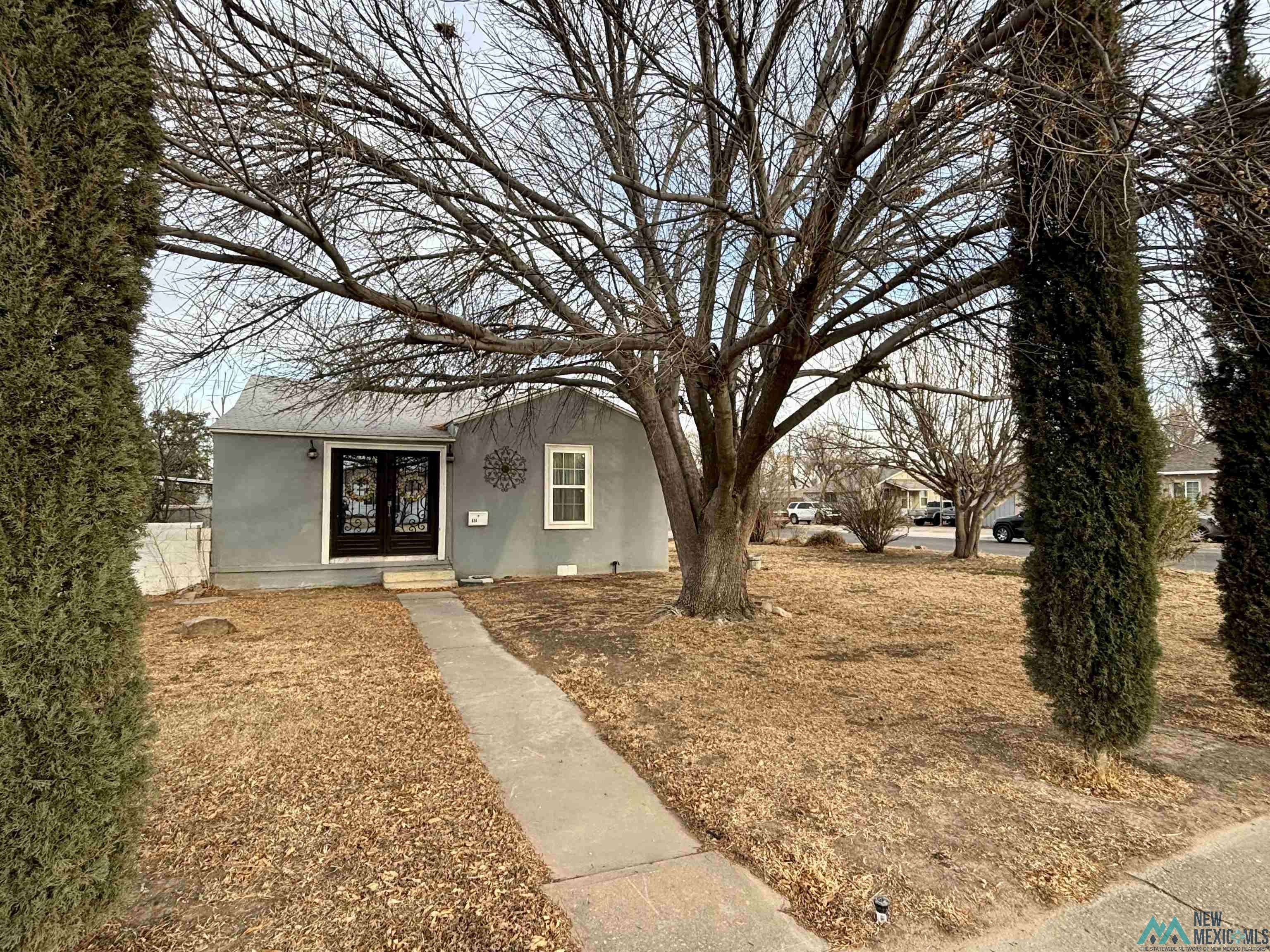 414 S Mesa Street, Carlsbad, NM 88220
