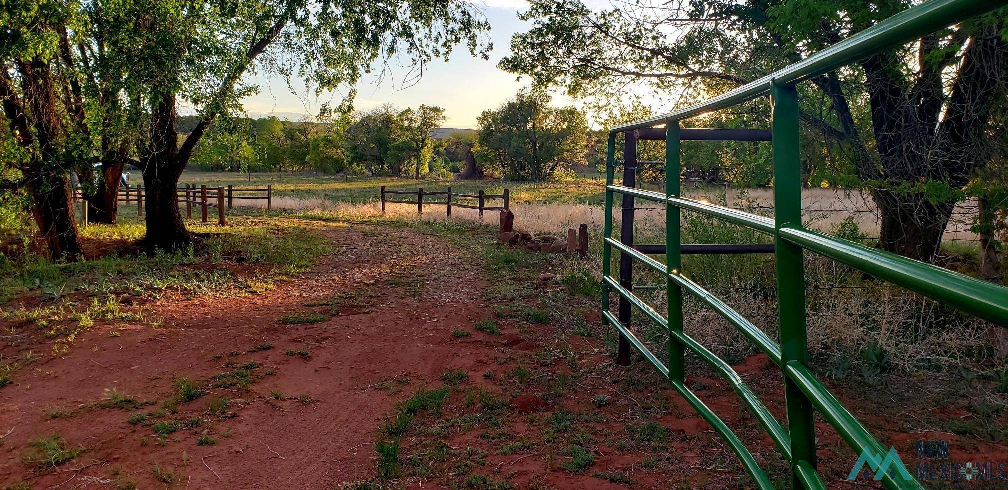 342 CR B41E Road, Ribera, NM 87560